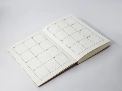 Купить Ежедневник датированный 2022 Стандарт Aluminium, 14,5х20,6см.,  серебр. Brunnen в магазине HappyPen.