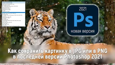 Как изменить формат файла скриншота по умолчанию (PNG) на JPG, TIFF, GIF,  BMP или PDF в macOS | Apple SPb Event | Дзен