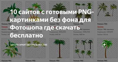 10 сайтов с готовыми PNG-картинками без фона для Фотошопа где скачать  бесплатно | ШКОЛА АРХИТЕКТУРЫ В МОСКВЕ | Дзен