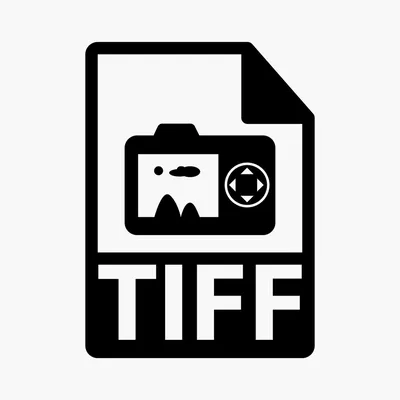 TIFF или JPEG? | Творческая лаборатория «СРЕДА»