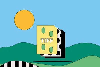 Фильмы в формате TIFF 2023: самые популярные фильмы, которые стоит  посмотреть