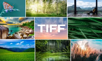 Чем открыть TIFF — программы для изображений в формате TIFF