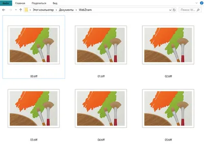 Файлы TIF и TIFF – как открывать и преобразовать формат