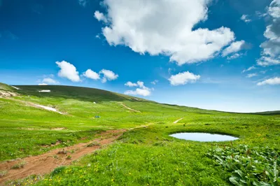 Лаго-Наки в Адыгее, 60 HD-фото летом