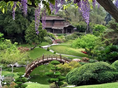 Мостик садовый в японском стиле (ID#1351344676), цена: 8679 ₴, купить на  Prom.ua