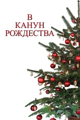 В канун Рождества :: Мираслава Михоровская – Социальная сеть ФотоКто