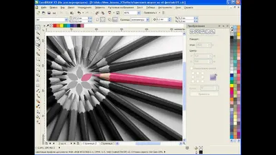 Уроки CorelDRAW: цвет на черно-белой фотографии - YouTube