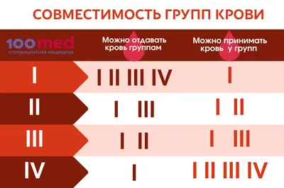 Этапы использования крови — Центр крови