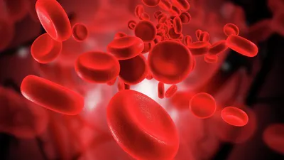 Сдать анализ крови на КФК: цена, подготовка — Клиника Кинзерского