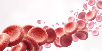 Мифы о донорстве крови: 7 популярных убеждений, которым не стоит верить и  почему