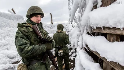Бегут не за кофе, а почтой: солдат из Алтайского края в окопе зачитал  детское письмо - KP.RU