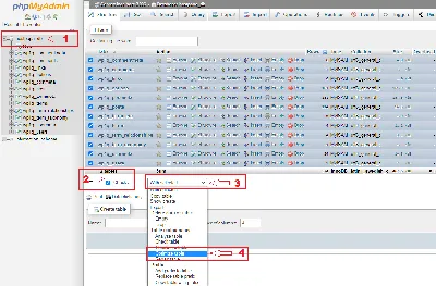 How to use phpMyAdmin to optimize your database