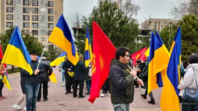 По всему миру прошли акции в поддержку Палестины. Фоторепортаж — РБК