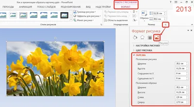 Как в обрезать картинку в презентации PowerPoint: по пропорциям, по фигуре,  вписать в фигуру и другие возможности - MS Office PowerPoint - Работа на  компьютере: инструкции и советы - Образование, воспитание и