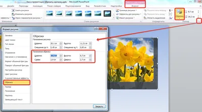 Как в обрезать картинку в презентации PowerPoint: по пропорциям, по фигуре,  вписать в фигуру и другие возможности - MS Office PowerPoint - Работа на  компьютере: инструкции и советы - Образование, воспитание и