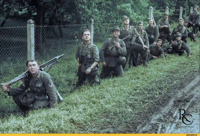 Вторая мировая война в цвете: Как цветные фотографии помогают понять  историю войны | А вы знали, что... | Дзен