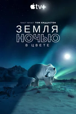 Земля ночью в цвете (сериал, 1-2 сезоны, все серии), 2020 — описание,  интересные факты — Кинопоиск