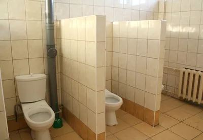 Правила туалета: почему важно закрывать крышку унитаза при смыве —  Интернет-канал «TV Губерния»