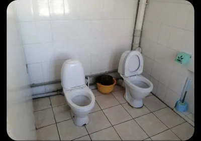 Прикольные таблички в туалет, табличка в туалет не смывать купить в Украине  | Бюро рекламных технологий