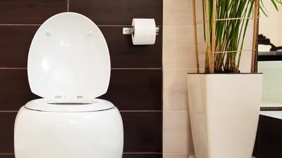 Таблички туалет черно-белые, табличка для туалета купить в Украине | Бюро  рекламных технологий