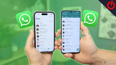 How to create a WhatsApp link (wa.me): with a phone number or message |  Chatfuel Blog