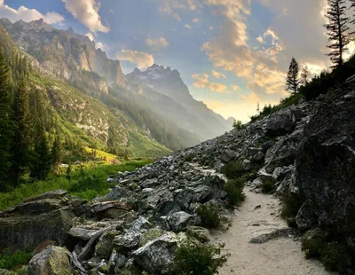 Фотография в высоком качестве: …» — создано в Шедевруме