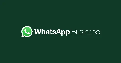 Developer Hub | WhatsApp Business
