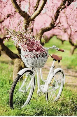 Картина \"Красный велосипед с цветами\" | Интернет-магазин картин \"АртФактор\"