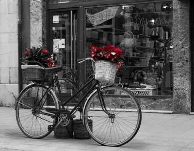белый винтажный велосипед с цветами в саду. декорация парка. вариант  дизайна цветной кровати. тем Стоковое Изображение - изображение  насчитывающей озеленение, темно: 250854503