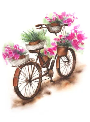 Иллюстрация Велосипед с цветами в стиле декоративный, живопись |
