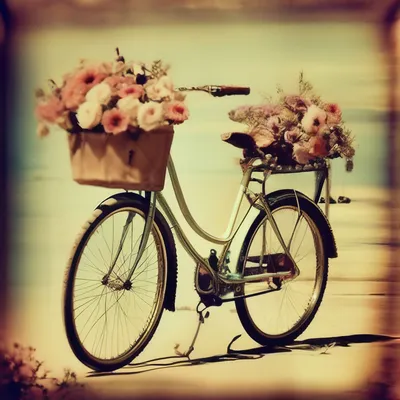 картинки : пейзаж, природа, трава, колесо, цветок, букет, средство  передвижения, спортивный инвентарь, горный велосипед, цветы, Поля 3413x5120  - - 917957 - красивые картинки - PxHere