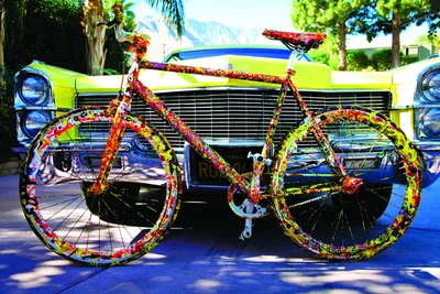 картинки : колесо, цветок, канал, средство передвижения, спортивный  инвентарь, горный велосипед, цветы, езда на велосипеде, Голландия, Гаага,  Хааг, Наземный транспорт, Дорожный велосипед, Спорт выносливости, Гоночный  велосипед, Гибридный велосипед ...