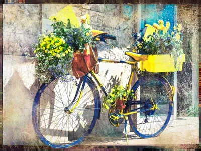 Велосипед с цветами в металлической корзине крупным планом :: Стоковая  фотография :: Pixel-Shot Studio