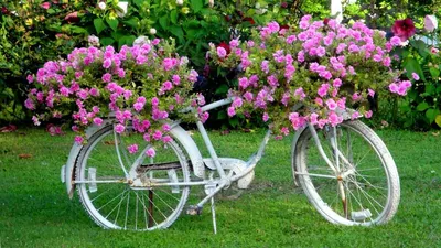 Велосипед с цветами» — создано в Шедевруме