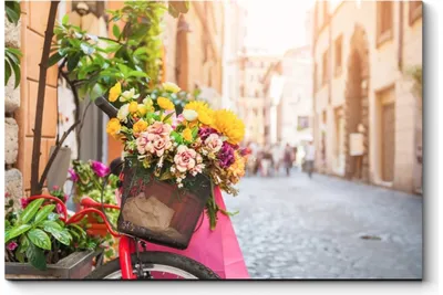 Картинки красивые велосипед с цветами (67 фото) » Картинки и статусы про  окружающий мир вокруг