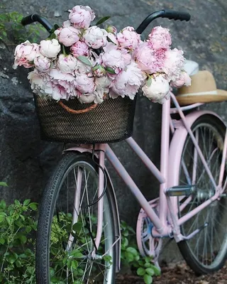 Велосипед цветы - 33 фото | Bicycle, Baby strollers, Folk
