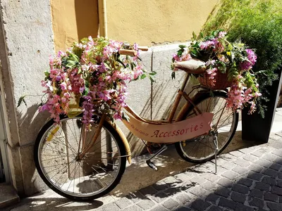 Интерьерный велосипед с цветами, цена Договорная купить в Бресте на Куфаре  - Объявление №200603498