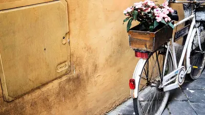 Велосипед с цветами рисунок - 68 фото