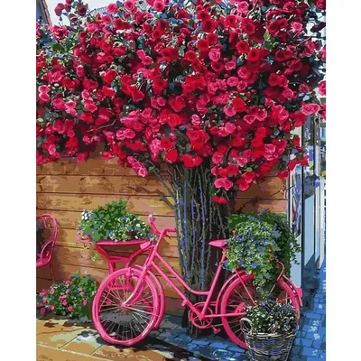 Велосипед Цветы Италия - Бесплатное фото на Pixabay - Pixabay
