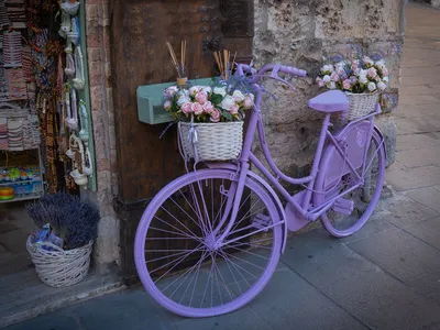 Подставка под цветы Велосипед 59-341 купить недорого, цены от производителя  4 200 руб.