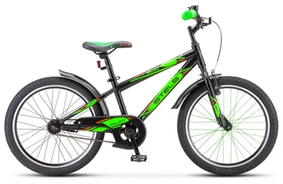 Грузовой велосипед Stels Energy-IV – купить в Москве, цена | Велопрестиж