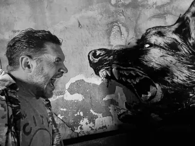 Том Харди против волка: появилось первое фото со съемок «Венома 3»