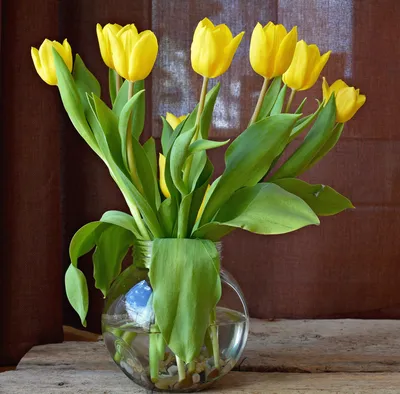 Букет из Тюльпанов. Желтые тюльпаны. Весенние цветы в интернет-магазине  Ярмарка Мастеров по цене 2500 ₽ – I5OCTRU | Композиции, Ставрополь -  доставка по России