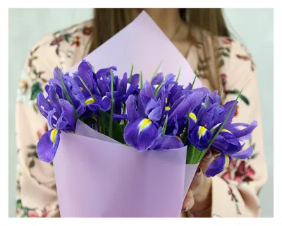 Тюльпан (Tulipa) - «Весенние цветы, которые радуют первыми. » | отзывы