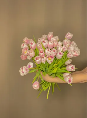 ТЮЛЬПАНЫ🌷 Лучшие весенние цветы!!! ———————————————————— Сегодня весь день  и всю ночь мы собираем тюльпаны охапками для Вас!!!… | Instagram