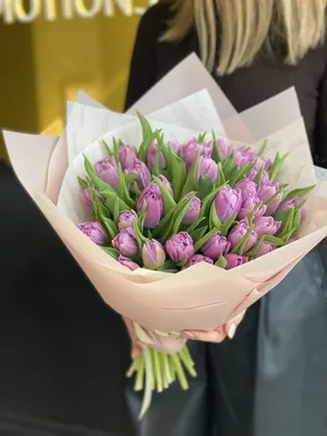 Цветы Тюльпаны - купить с доставкой в Новосибирске от EuroFlora