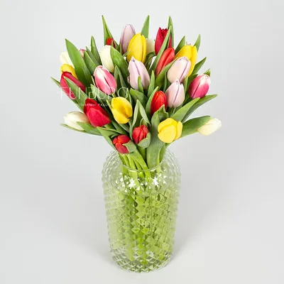 Весенние Цветы Тюльпаны, Сделать Венок На Сером Фоне, Топ Vie Стоковые  Фотографии | FreeImages