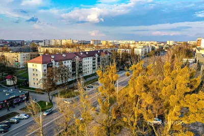 Весна идёт-весне дорогу! 😀 🌼😊 Фото @photo_dariko | Instagram