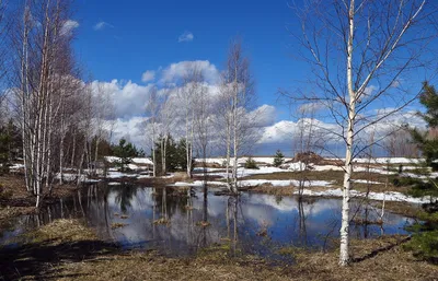 Картинки весна, природа, краєвид, словакія, дерева, ліс, гори, male  pieniny, пагорби, небо, хмари - обои 1280x1024, картинка №526201