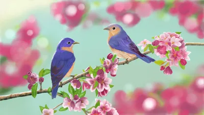 Весна, птицы и цветки, и темные ые-зелен серебряные цветения глаз Стоковое  Фото - изображение насчитывающей фарфор, люк: 142574186